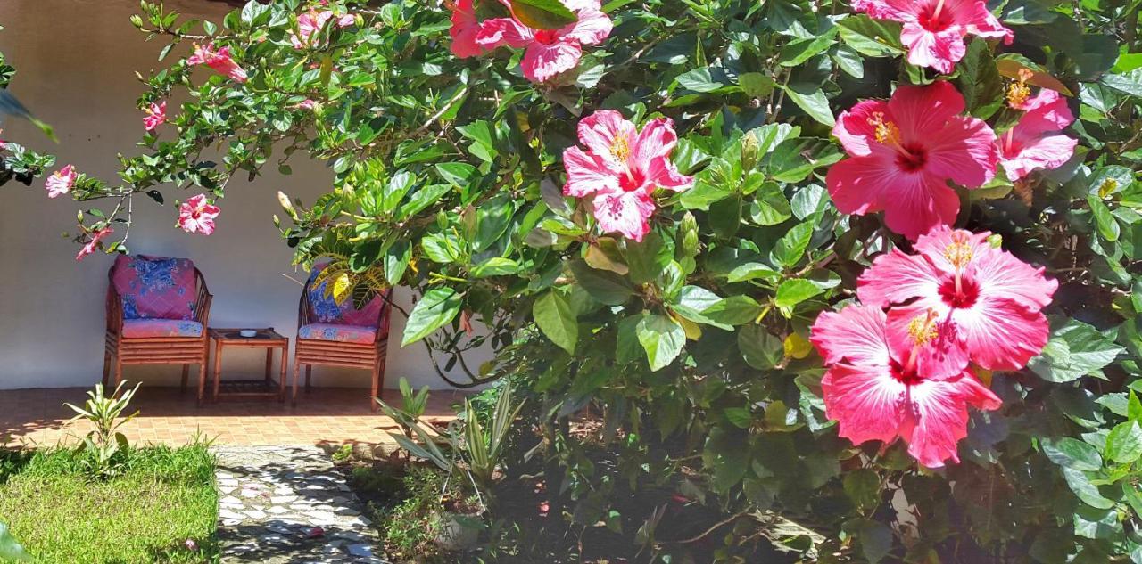 Vida Tropical Bed & Breakfast Alajuela Bagian luar foto