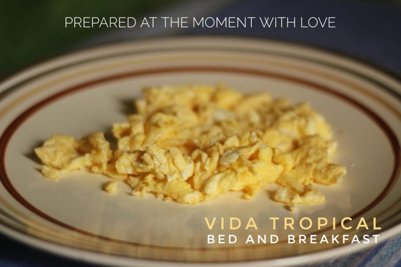 Vida Tropical Bed & Breakfast Alajuela Bagian luar foto