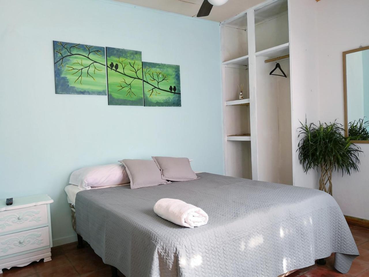 Vida Tropical Bed & Breakfast Alajuela Bagian luar foto
